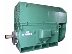 莱山Y系列6KV高压电机